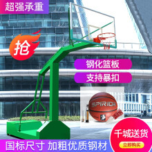 籃球架選購指南 價格、品牌與選購要點全解析